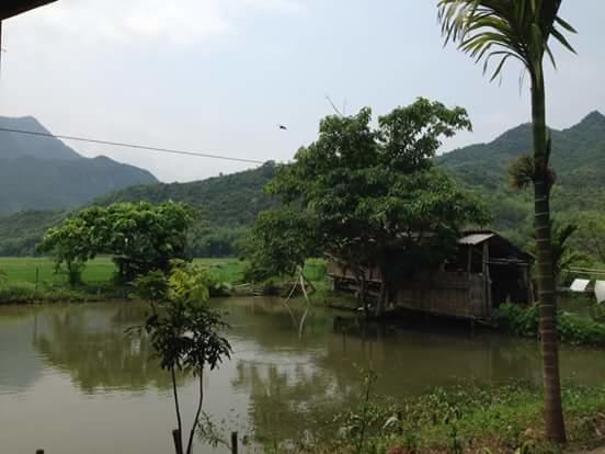 Linh Soi Homestay Mai Châu Extérieur photo